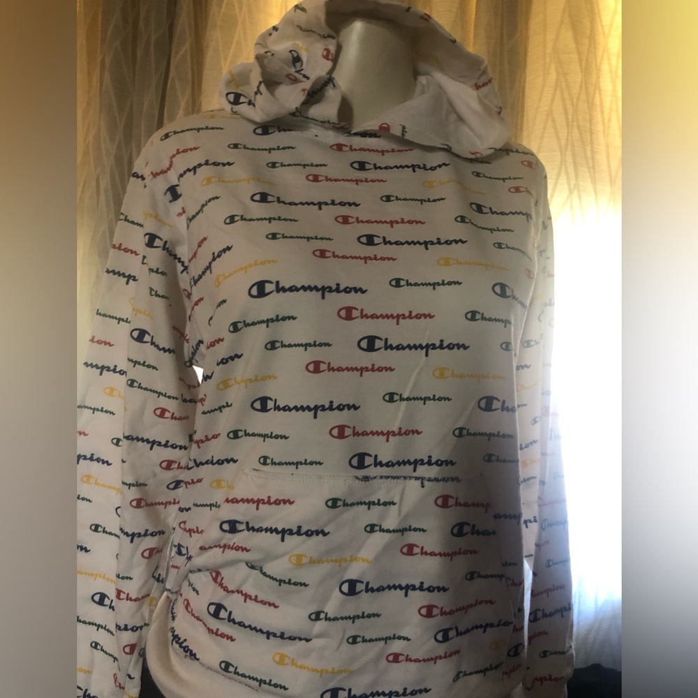 Champion Rainbow Logo Hoodie